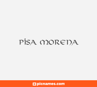 Pisa Morena